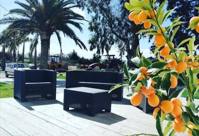 田舎風ホテル Agriturismo Masseria Cannella