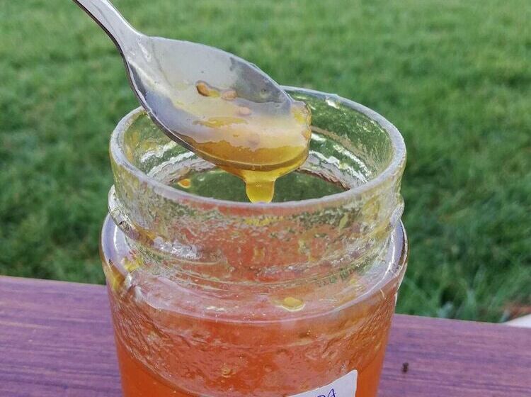 田舎風ホテル Agriturismo Masseria Cannella