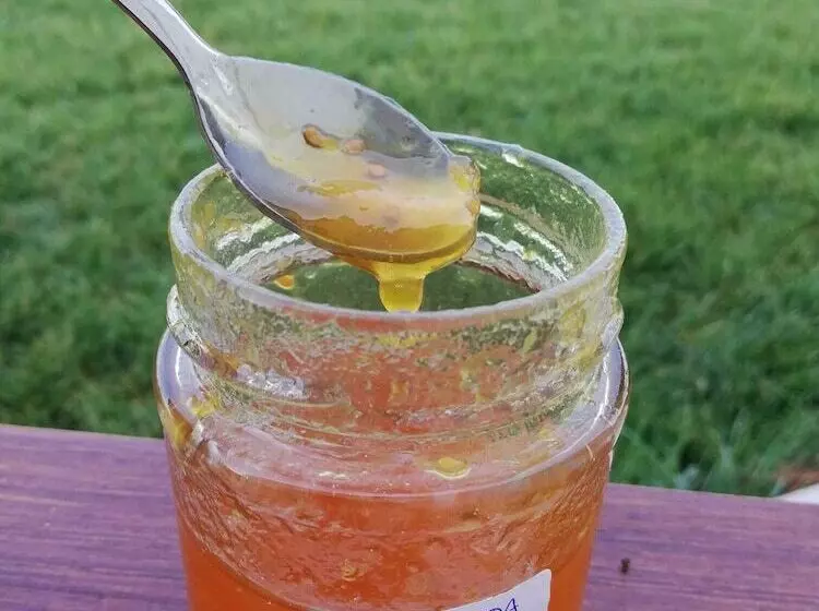 Maaseutuhotelli Agriturismo Masseria Cannella