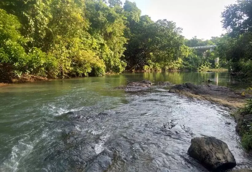 Hotelli Tararine Homes