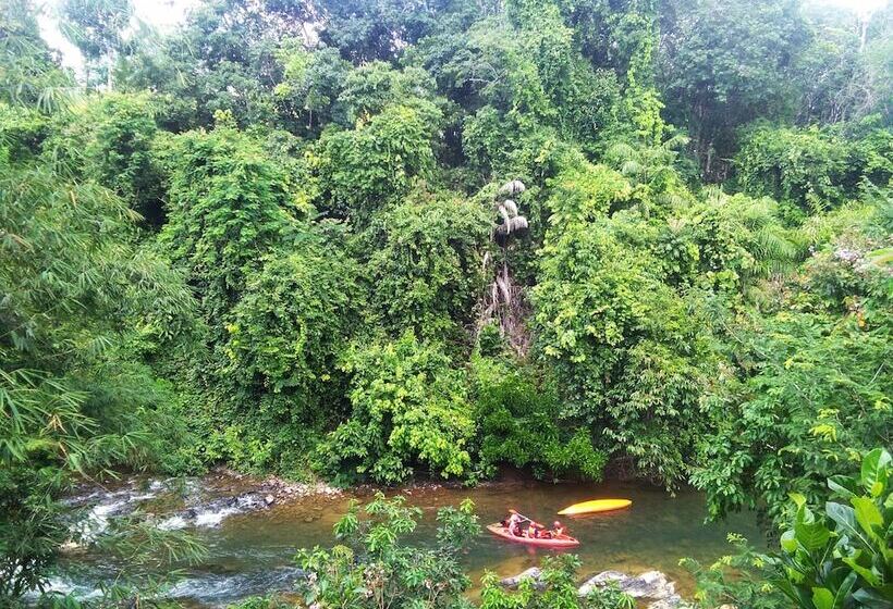 호텔 Tararine Homes