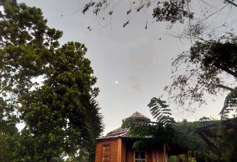 호텔 Tararine Homes