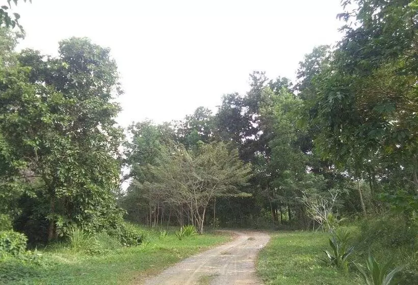 Hotelli Tararine Homes