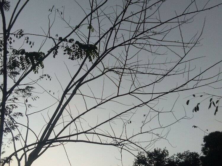 호텔 Tararine Homes