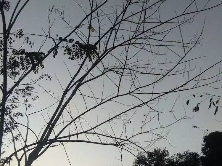 Hotelli Tararine Homes