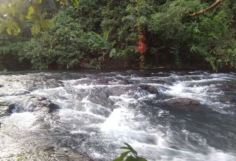 Hotelli Tararine Homes