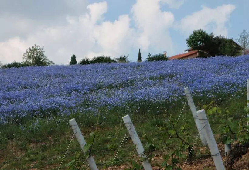 Majatalo Domaine Des Fonterouilles