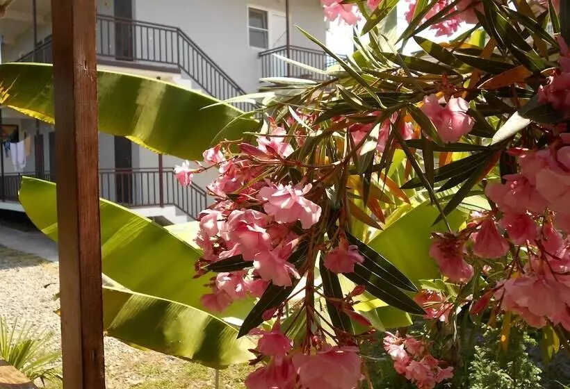 Majatalo Gostevoy Dom Na Glavnoy