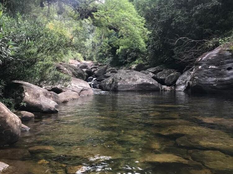 פנסיון Iquest Colombo