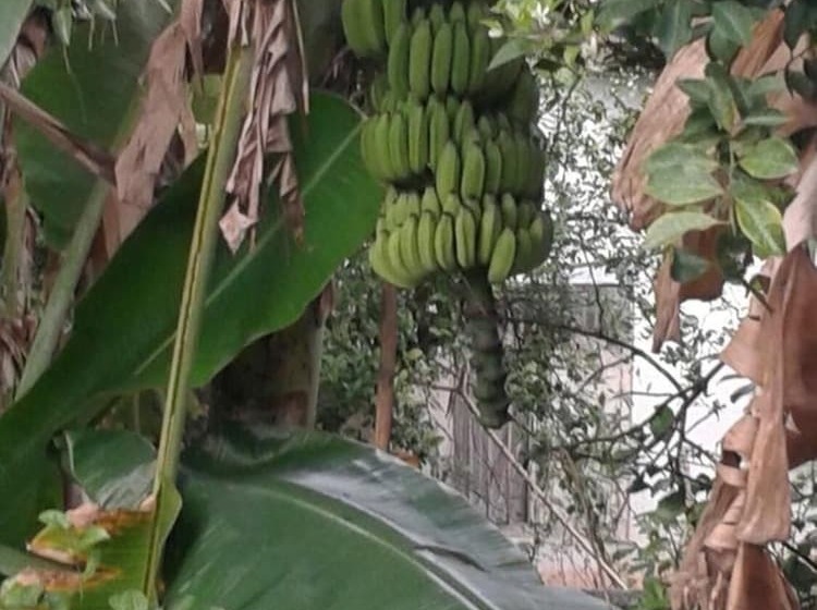 פנסיון Iquest Colombo