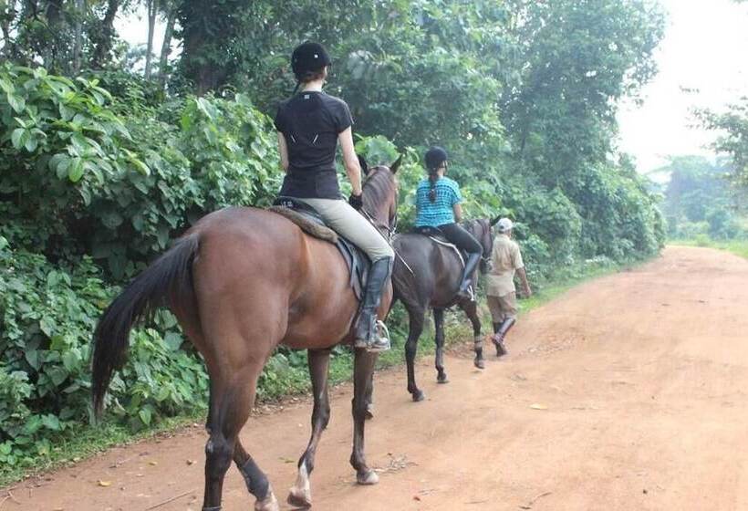 פנסיון Iquest Colombo