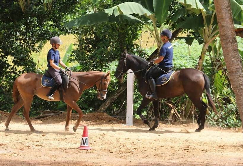 פנסיון Iquest Colombo