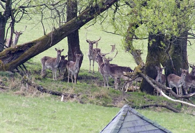 ペンション Penzión štefánik