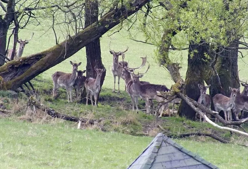 Majatalo Penzión štefánik