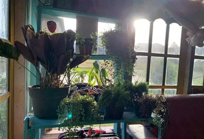 Majatalo Sijo Art And Guesthouse