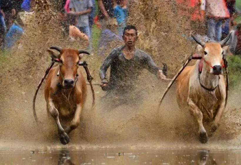 Majatalo Sijo Art And Guesthouse