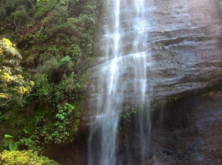 Pansiyon Sijo Art And Guesthouse