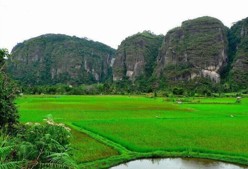 بنسيون Sijo Art And Guesthouse