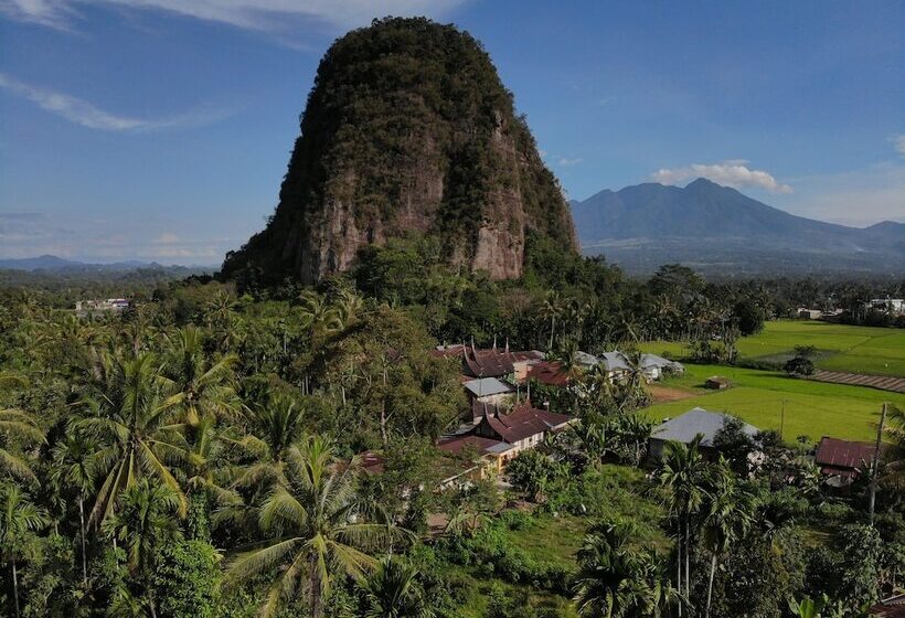 بنسيون Sijo Art And Guesthouse