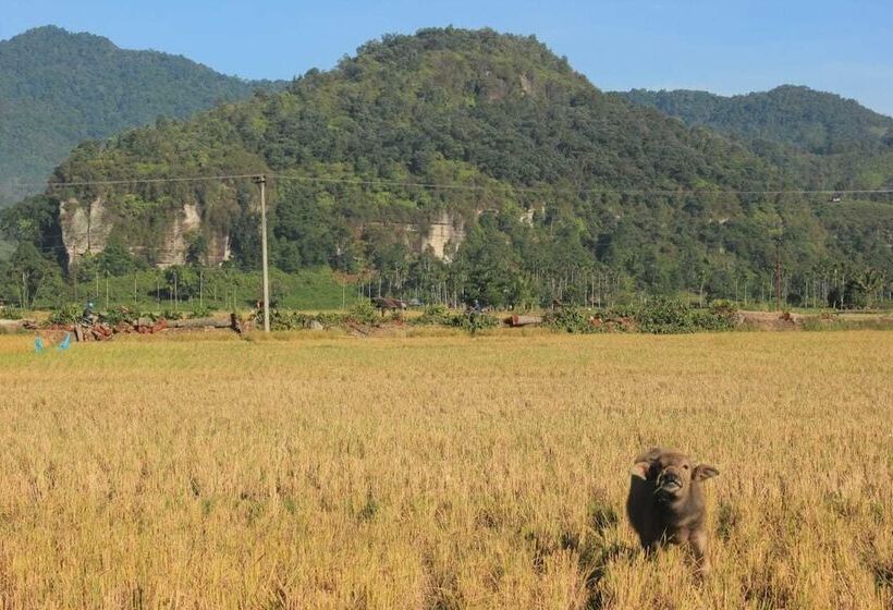 بنسيون Sijo Art And Guesthouse