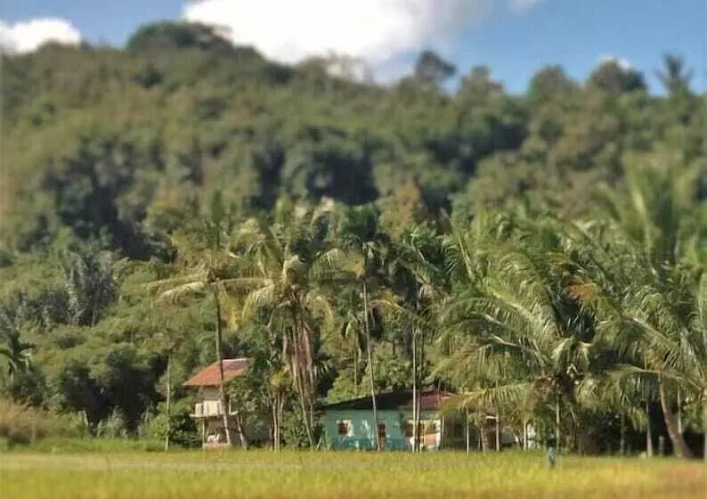 Majatalo Sijo Art And Guesthouse