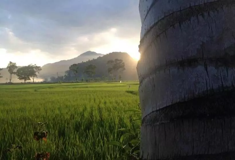 Majatalo Sijo Art And Guesthouse