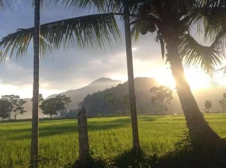 Majatalo Sijo Art And Guesthouse