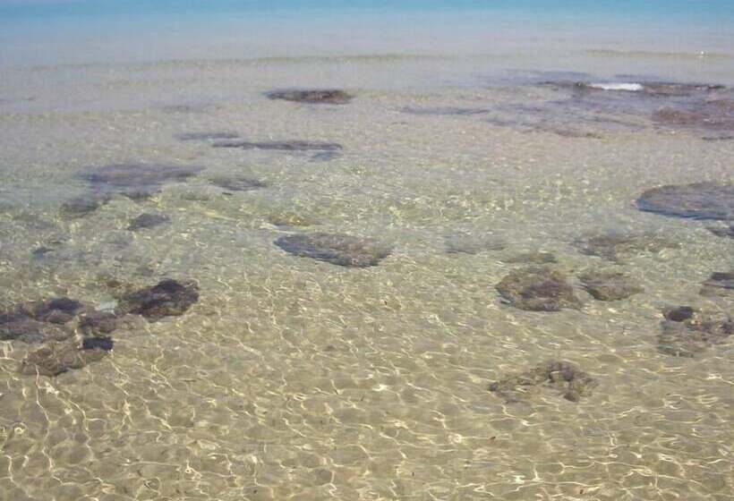 ペンション Viar Beach Club