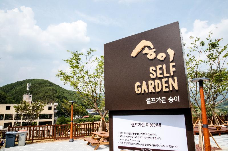 Sono Belle Cheongsong