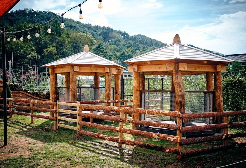 Sono Belle Cheongsong