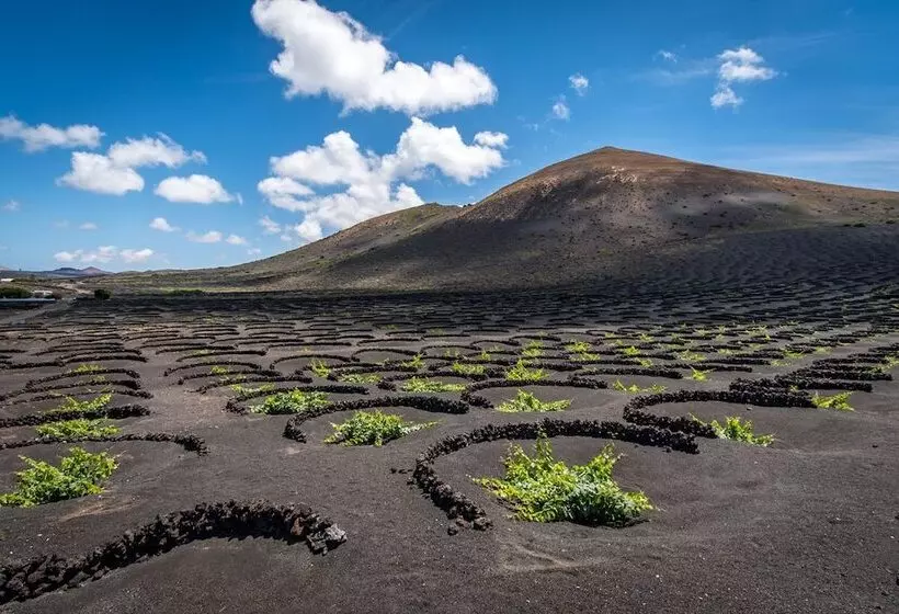 Apartamentos Maribel