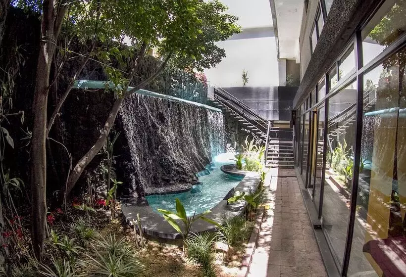 ホテル El Diplomatico