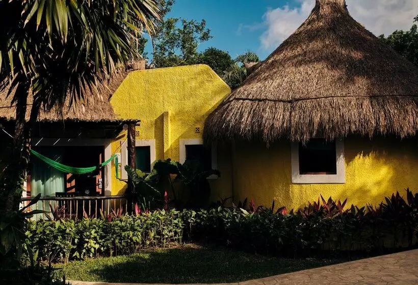 호텔 Iberostar Waves Cozumel - All Inclusive