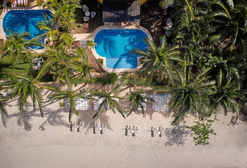 هتل Iberostar Waves Cozumel - All Inclusive