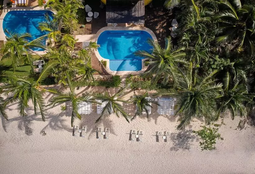 호텔 Iberostar Waves Cozumel - All Inclusive