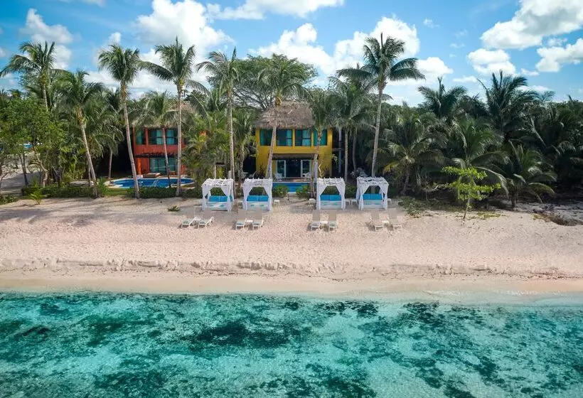 호텔 Iberostar Waves Cozumel - All Inclusive