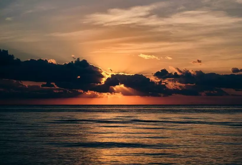 호텔 Iberostar Waves Cozumel - All Inclusive