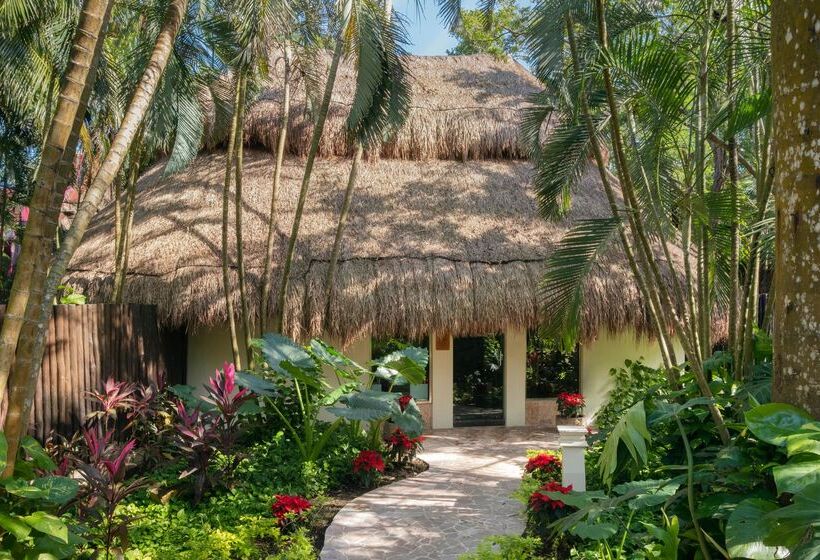 هتل Iberostar Waves Cozumel - All Inclusive