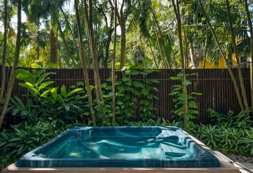 호텔 Iberostar Waves Cozumel - All Inclusive