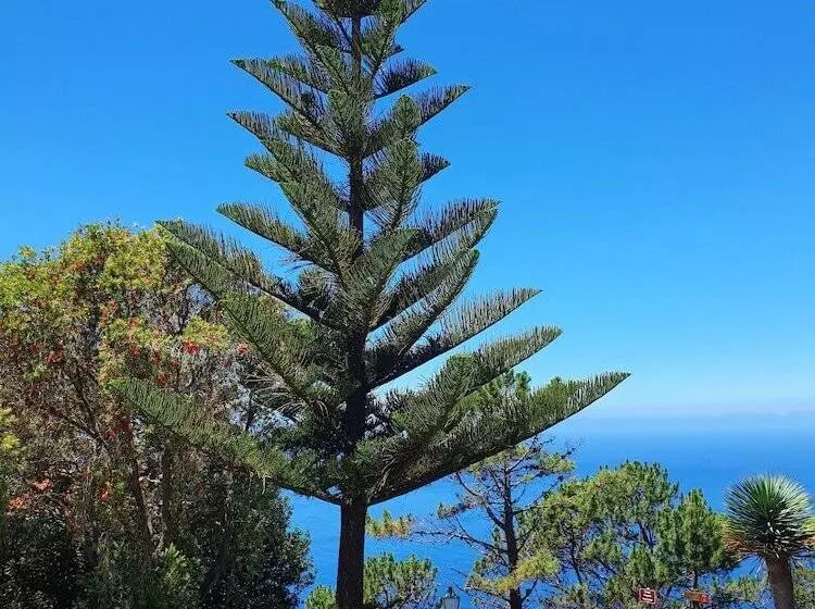 ホテル Jardim Atlantico