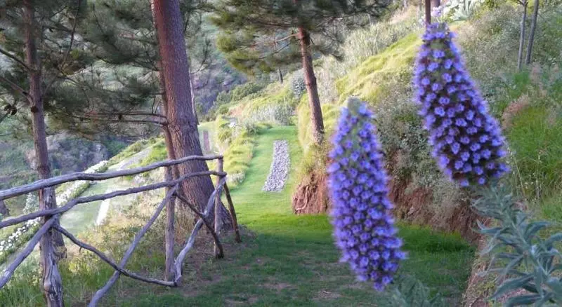 ホテル Jardim Atlantico