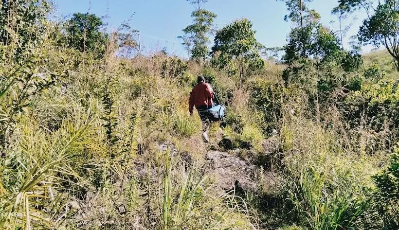 Hotelli Lake View Camp
