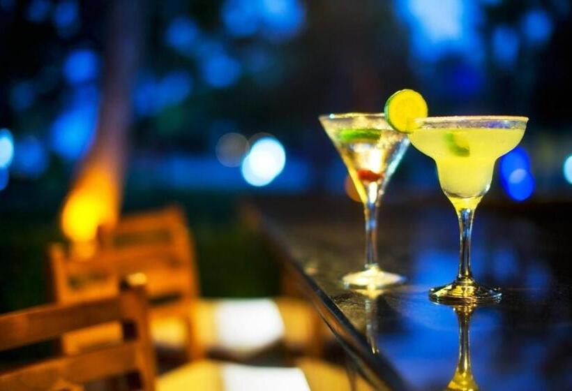 Akka Antedon Hotel - Premium Ultra All Inclusive