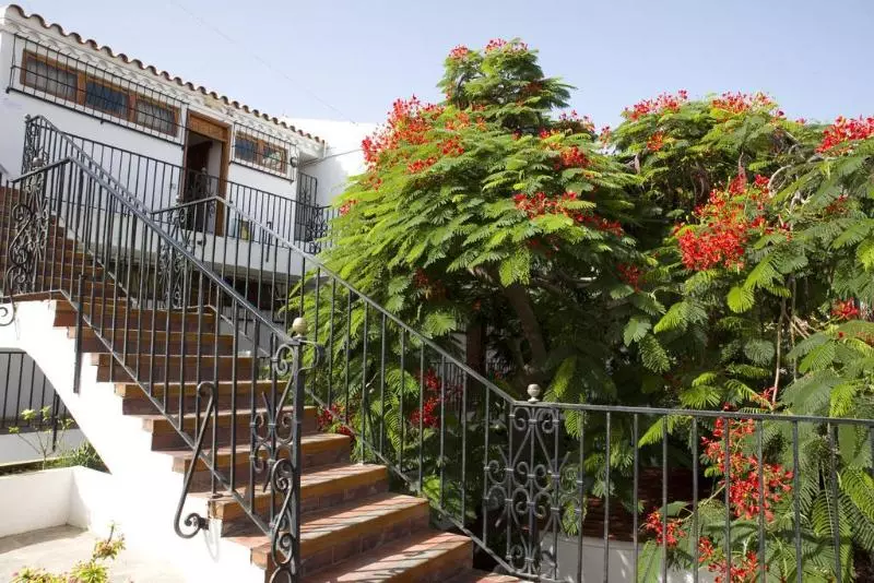 Alsol Las Orquídeas