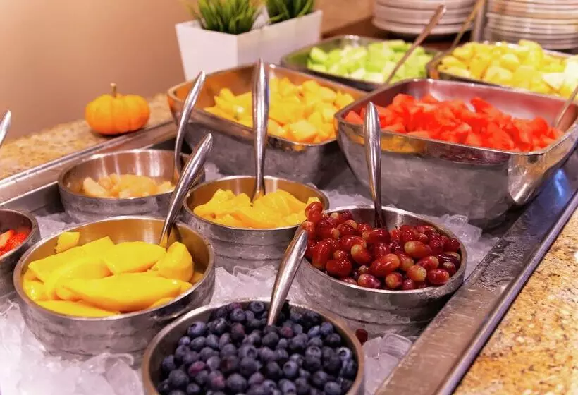 Doubletree By Hilton Hotel Tampa Airport  Westshore