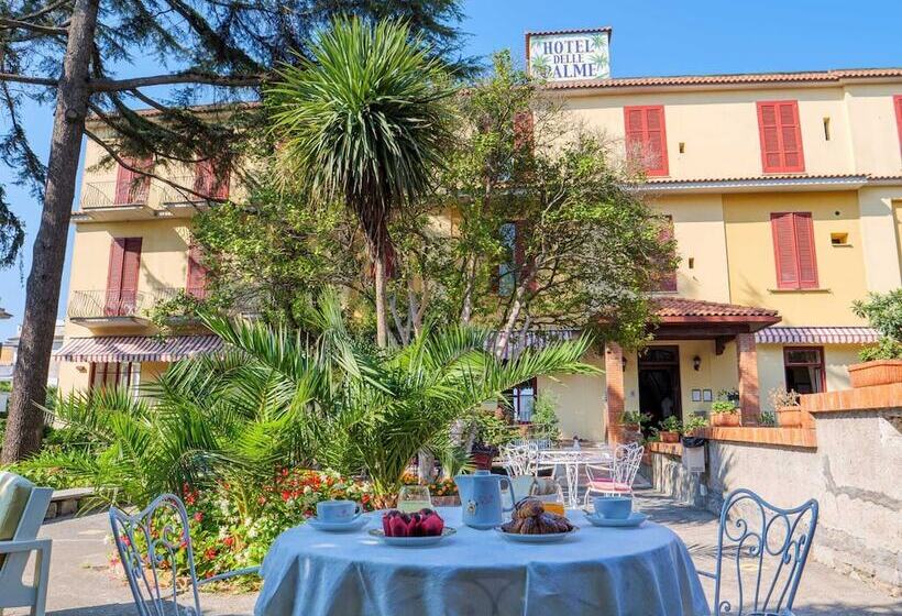 Hotel Delle Palme