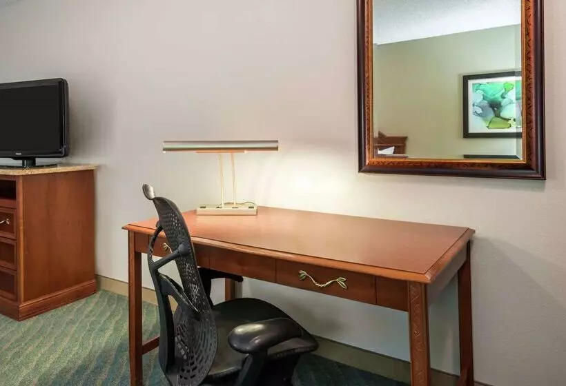 هتل Hilton Garden Inn Orlando International Drive North