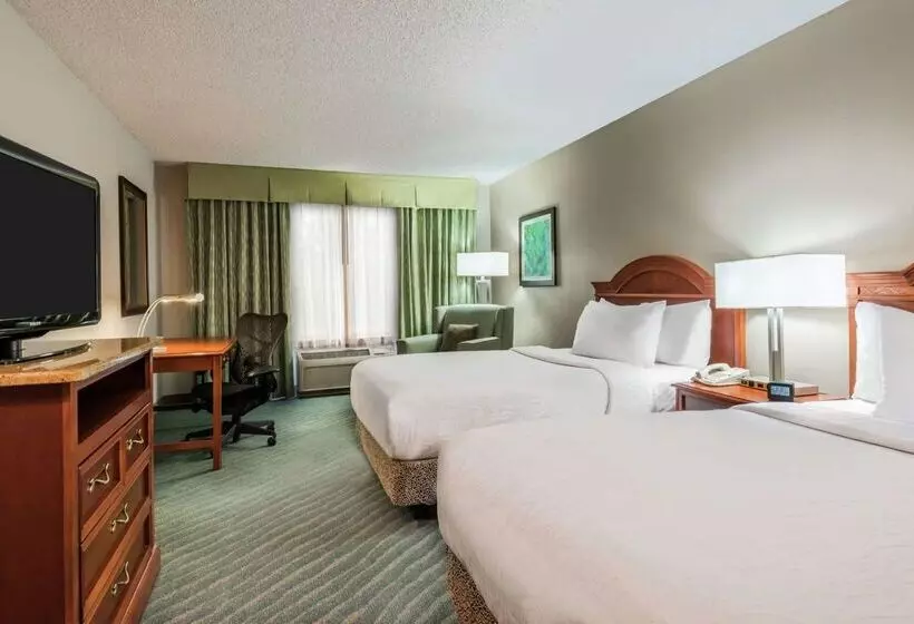 هتل Hilton Garden Inn Orlando International Drive North