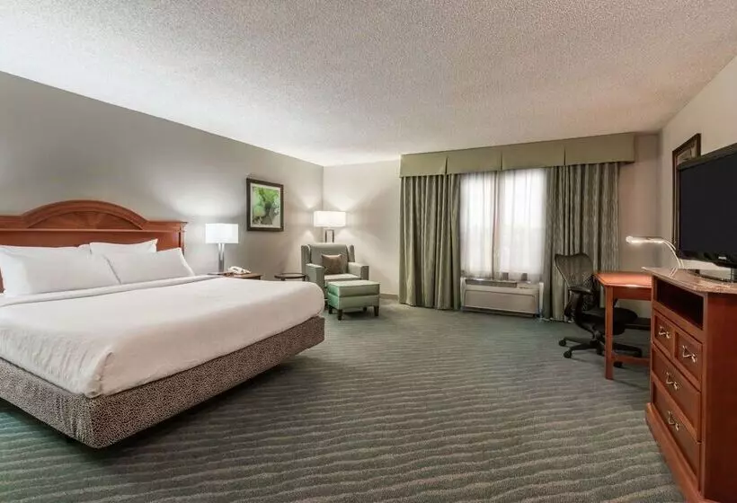 هتل Hilton Garden Inn Orlando International Drive North