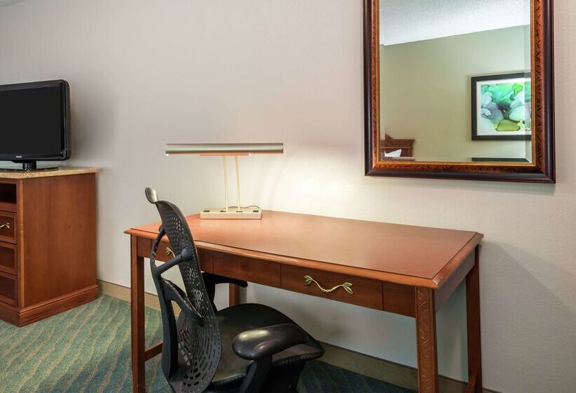 فندق Hilton Garden Inn Orlando International Drive North